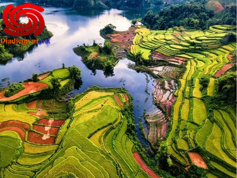 Ruộng bậc thang Hồng Thái