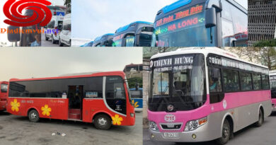 Xe khách tuyến Hải Phòng đi Ninh Bình và ngược lại