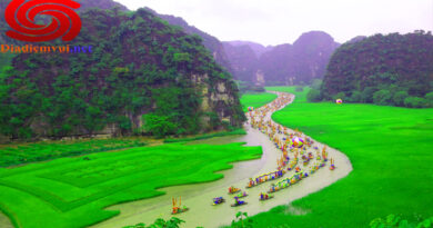 Thăm quan Tam cốc Bích Động Ninh Bình hành trình nhiều cảm xúc