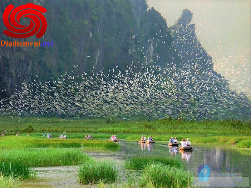 Khu du lịch sinh thái Thung Nham vẻ đẹp tuyệt vời của tự nhiên