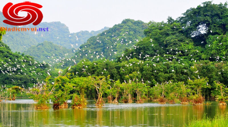 Khu du lịch sinh thái vườn chim Thung Nham Ninh Bình