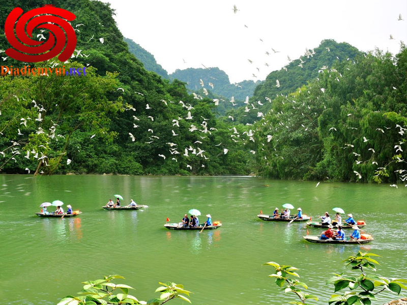 Về thăm khu du lịch sinh thái Thung Nham bạn được nhìn ngắm hàng nghìn loài chim