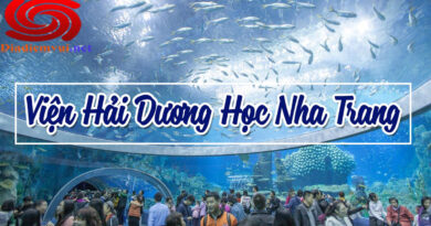 Tham quan du lịch Viện hải dương học Nha Trang Khánh Hòa