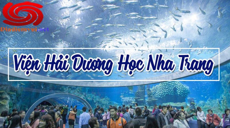 Tham quan du lịch Viện hải dương học Nha Trang Khánh Hòa