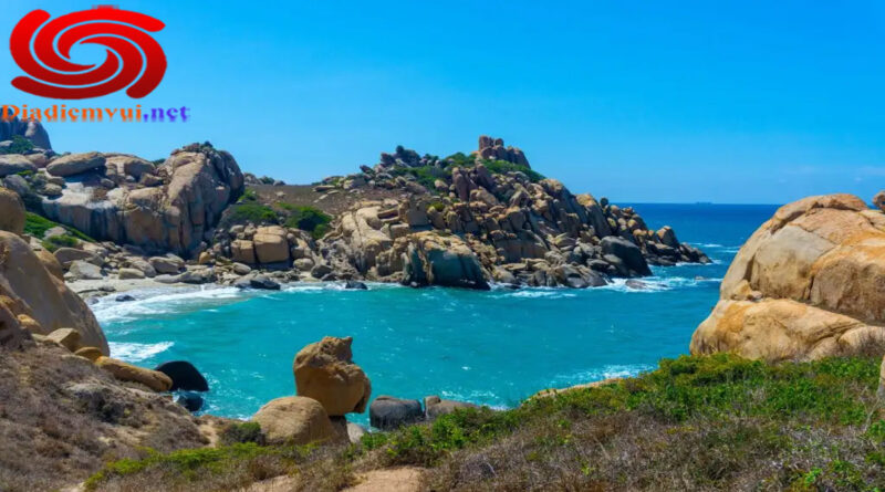 Đảo Cù Lao Câu Ninh Thuận - Khám phá thiên đường hoang sơ giữa biển cả