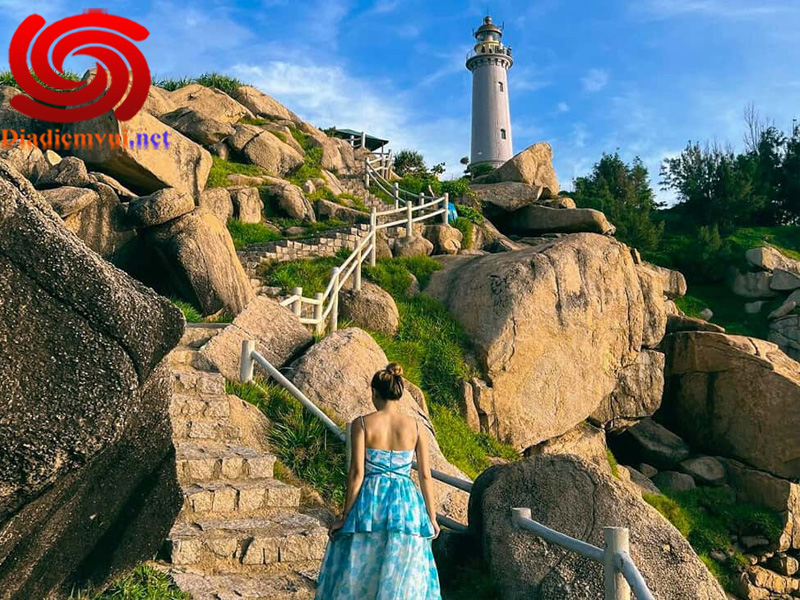 Bạn sẽ có những trải nghiệm thú vị tại mũi Đại Lãnh Phú Yên