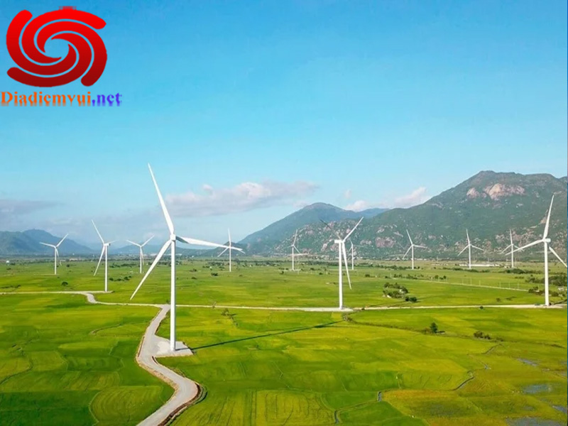 Cánh đồng quạt gió Bình Thuận bao gồm hơn 112 trụ turbine điện gió