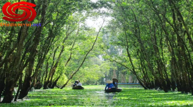 Đặc điểm của Rừng Tràm Trà Sư An Giang