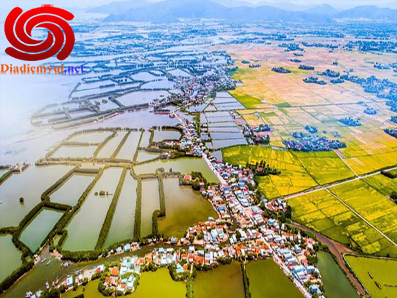 Đầm Thị Nại Bình Định hệ sinh thái có 1 không 2