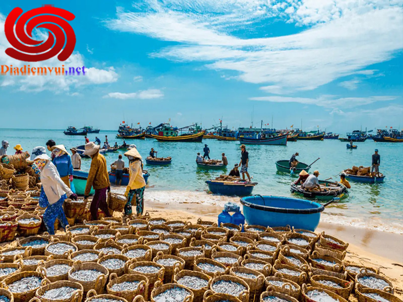 Đến làng chài Mũi Né Bình Thuận thưởng thức nhiều hải sản tươi ngon