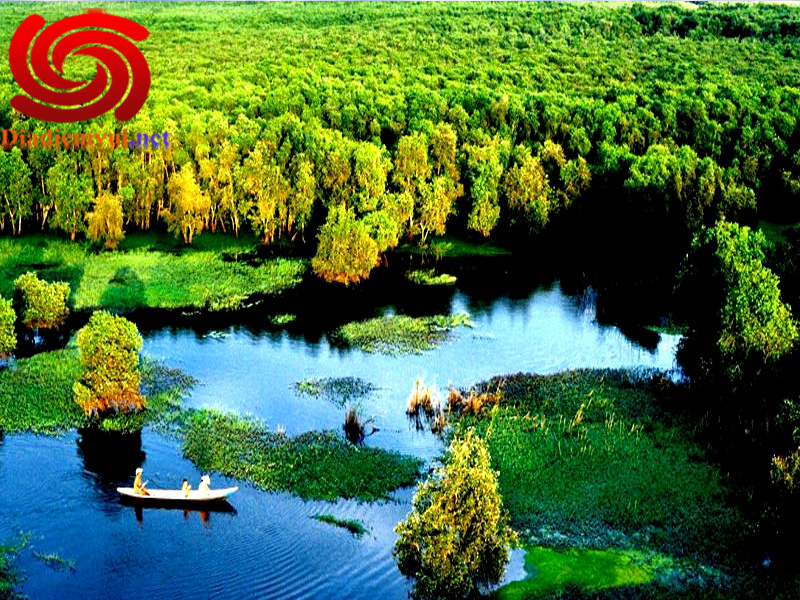 Về với thiên nhiên Rừng Tràm Trà Sư An Giang