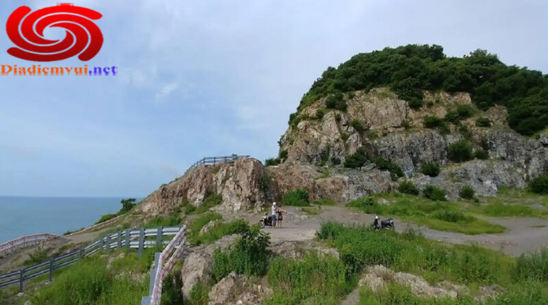 Giới thiệu về đồi Con Heo - Vũng Tàu
