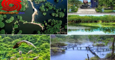 Giới thiệu về rừng Quốc gia Bình Châu Bà Rịa - Vũng Tàu