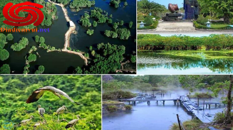 Giới thiệu về rừng Quốc gia Bình Châu Bà Rịa - Vũng Tàu